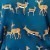 Springbok: Blue