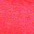 Animal Print: Hot Pink Leopard Print