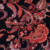 Pattern: Bohemian Paisley Brushed PTY